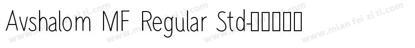 Avshalom MF Regular Std字体转换